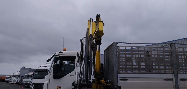 DAF DAF 18T + grue  DX-458-VA