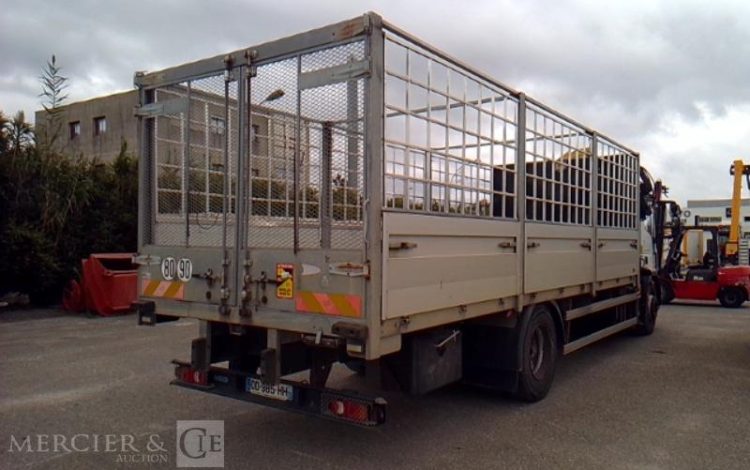 IVECO 18T GRUE  DD-985-HH