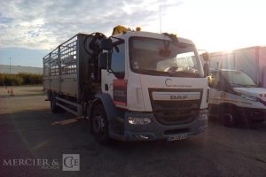 DAF 18T GRUE  DM-125-LP