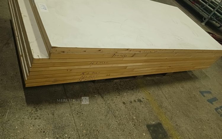 Autre Lot de 12 portes sans bâti  dont 10 de 211x83cm , et 2 de 204x83cm  116