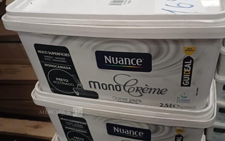 Autre Lot de 14 seaux de peinture Preto Acetinado Mono Crème marque Nuance  2,5L  164