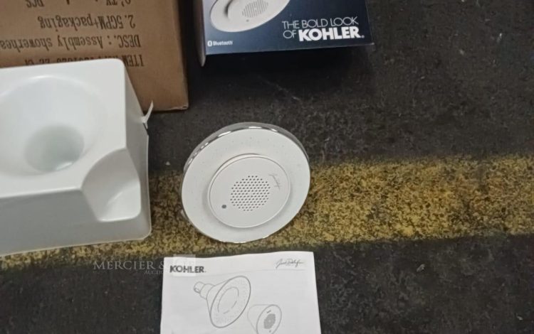 Autre Lot de 12 pommeaux de douche  monofonctionnel à capsule sonore marque KOHLER  202