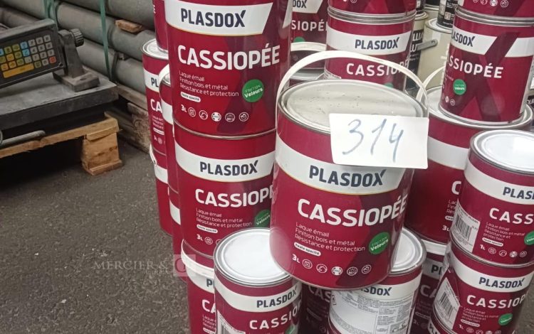 Autre Lot de 16 seaux de Cassiopée PLASDOX , velours 3 L , et 16 seaux de Cassiopée  P  305