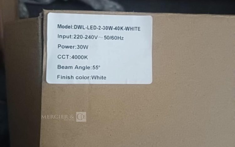 Autre Lot de 15 spots led DWL led 30w 40k , white, 220-240v 50/60HZ , 30W  360