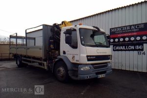 DAF 18T GRUE  DD-131-NX